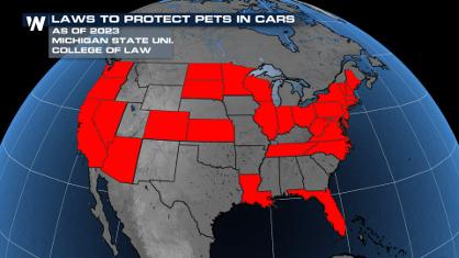 States with Laws to Protect Pets in Hot Cars